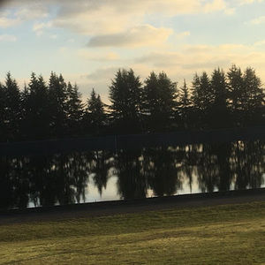 Meet your Posher, Nicholas